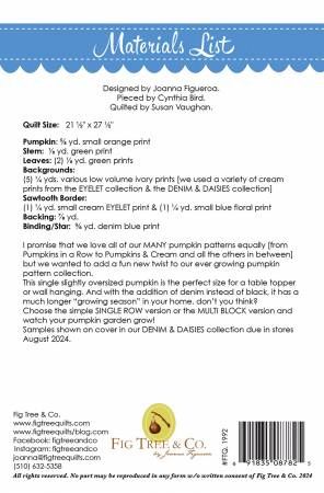 Pumpkin & Denim # FTQ1992