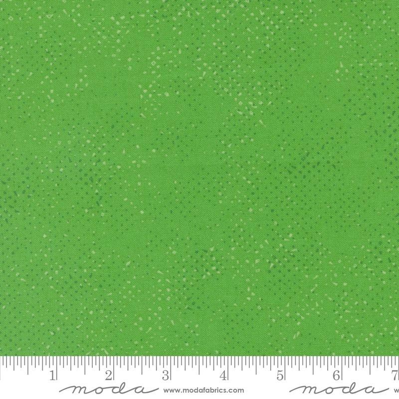 Spotted Kelly 1660 50 Moda #1